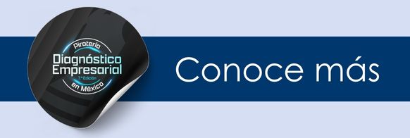 Documento Piratería en México Diagnóstico Empresarial