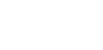Logo There is Only One AmCham