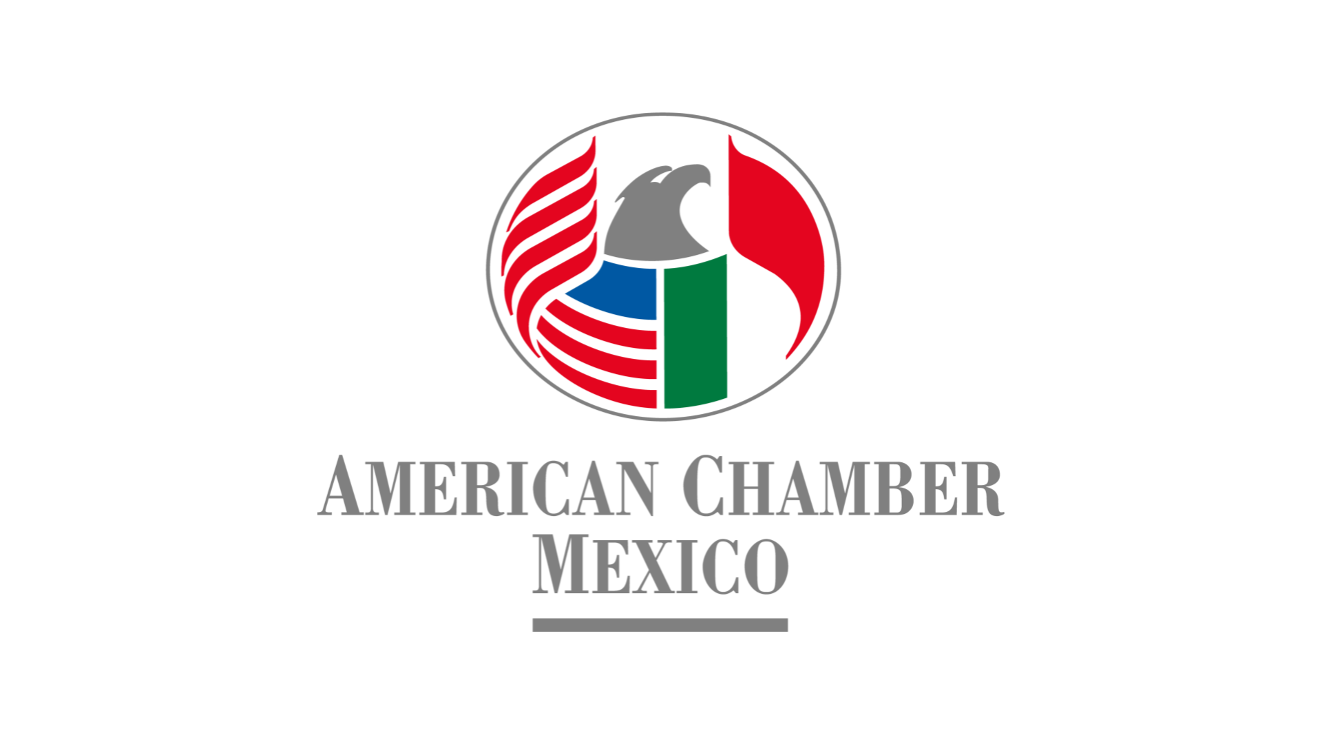 logo amcham