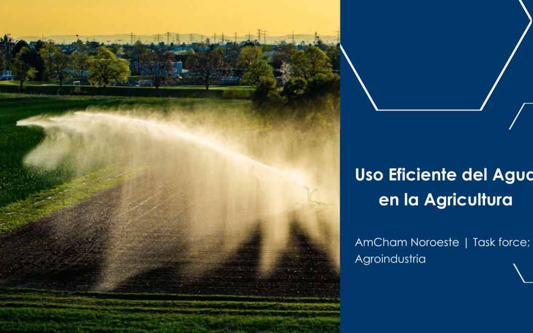 Uso eficiente del agua en la agricultura.