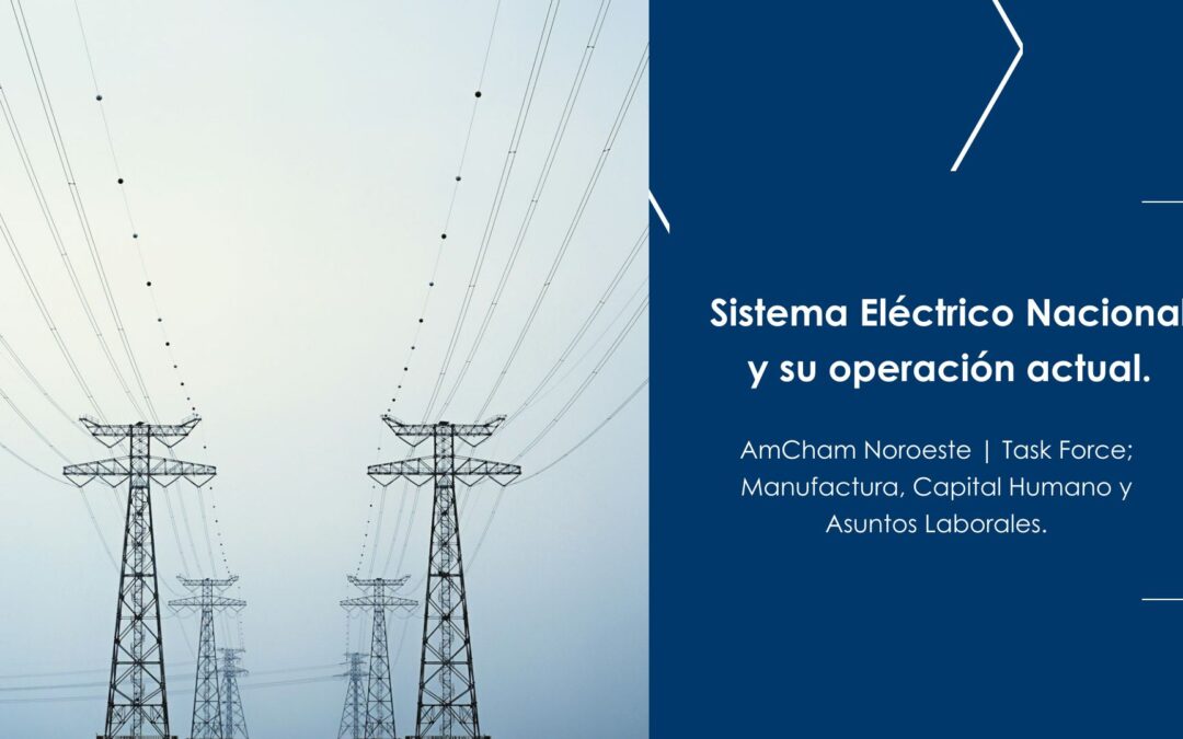 Sistema Eléctrico Nacional y su operación actual.