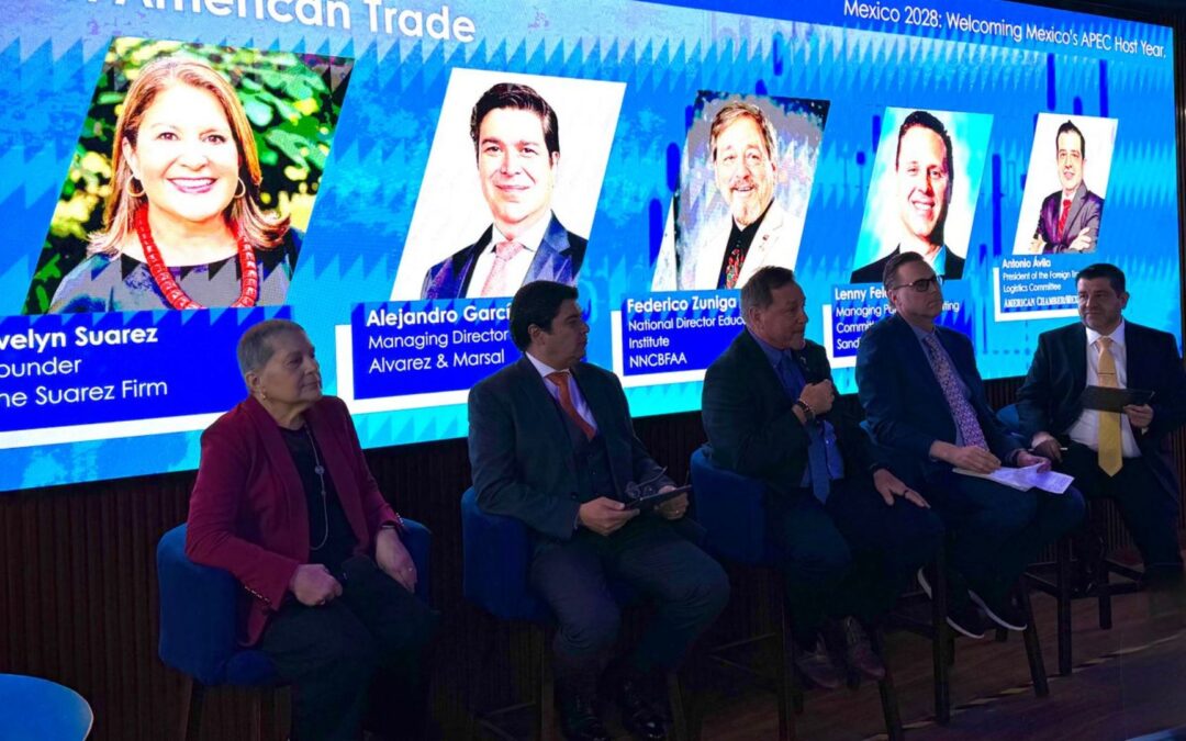 Panel 2 | Mexico 2028: Welcoming Mexico’s APEC Host Year