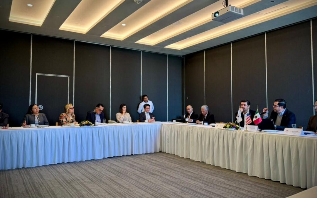 Reforma Electoral: Implicaciones Institucionales y Escenarios para México