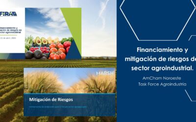 Financiamiento y mitigación de riesgos del sector agroindustrial.