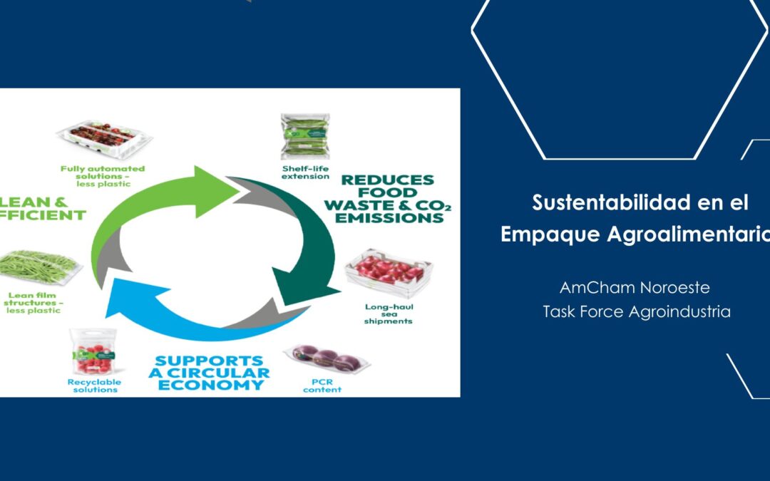 Sustentabilidad en el Empaque Agroalimentario.