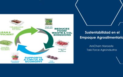 Sustentabilidad en el Empaque Agroalimentario.